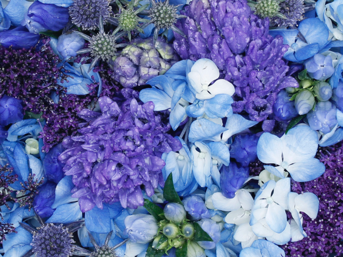 野兽爸爸鲜花花盒|野兽派